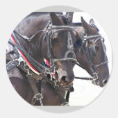 Big Horses Stickers (Voorkant)