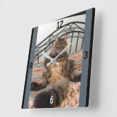 Big Huggable Cat Wall Clock Vierkante Klok (Hoek)