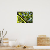 BIG ISLAND GECKO POSTER (Keuken)