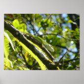 BIG ISLAND GECKO POSTER (Voorkant)