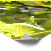 BIG ISLAND GECKO POSTER (Hoek)