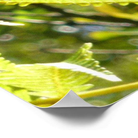 BIG ISLAND GECKO POSTER (Hoek)