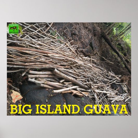 BIG ISLAND GUAVA POSTER (Voorkant)