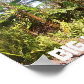 BIG ISLAND HAWAII BANANENBOMEN POSTER (Hoek)