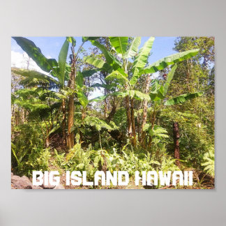 BIG ISLAND HAWAII BANANENBOMEN POSTER