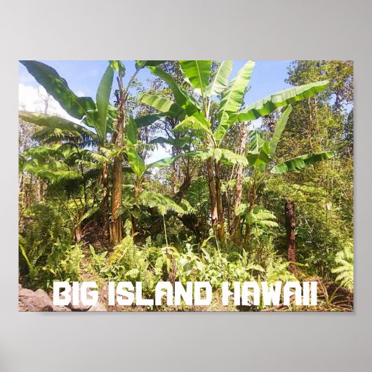 BIG ISLAND HAWAII BANANENBOMEN POSTER (Voorkant)