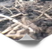 BIG ISLAND LAVA ROCK POSTER (Hoek)