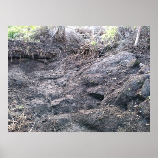 BIG ISLAND LAVA ROCK POSTER (Voorkant)