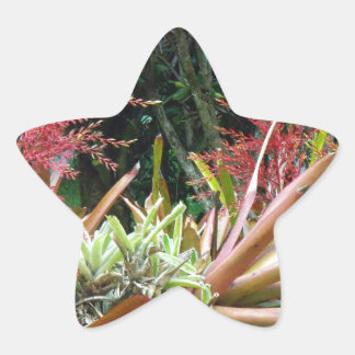 Big Island of Hawaii Botanical Gardens Star Sticke Ster Sticker