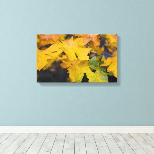 Big Leaf Maple Wrapped Canvas 2 Afdruk (Insitu (Houten vloer))