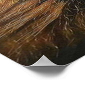 BIG LION POSTER (Hoek)