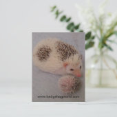 Big little spots briefkaart (Staand voorkant)