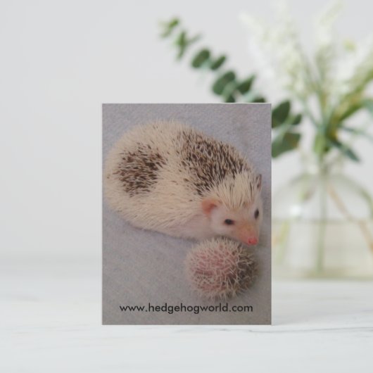 Big little spots briefkaart (Staand voorkant)