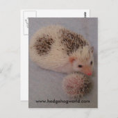 Big little spots briefkaart (Voorkant / Achterkant)