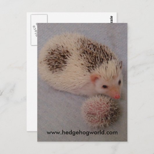 Big little spots briefkaart (Voorkant / Achterkant)