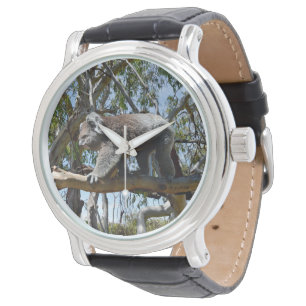 Big Male Australian Koala Beer, Horloge