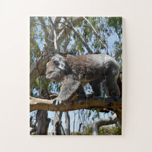 Big Male Australian Koala, Legpuzzel