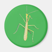 Big Mantis Magneet (Voorkant)