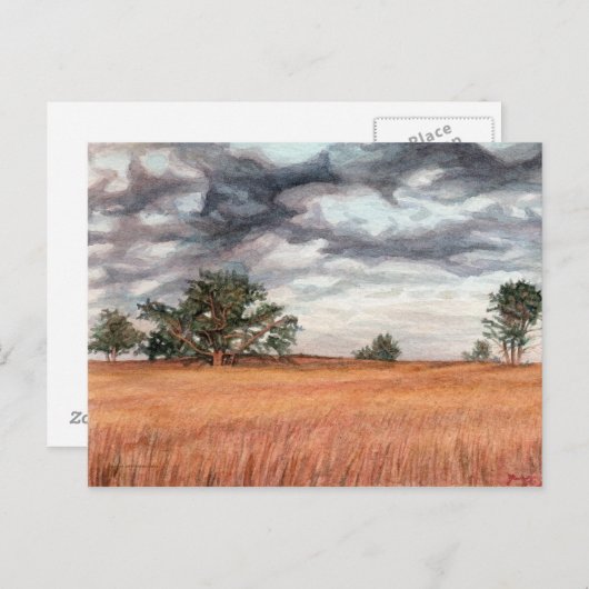 Big Meadow Skyline Drive Briefkaart (Voorkant / Achterkant)