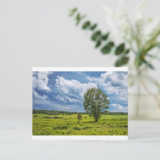 Big Meadows Briefkaart (Staand voorkant)