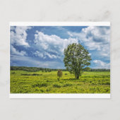 Big Meadows Briefkaart (Voorkant)