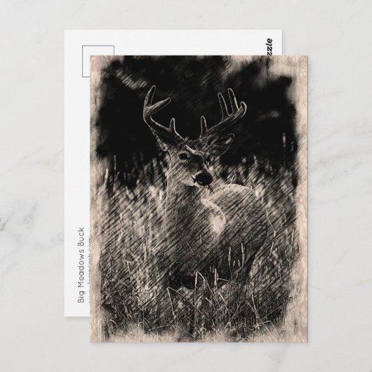 Big Meadows Buck Briefkaart (Voorkant / Achterkant)