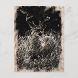 Big Meadows Buck Briefkaart