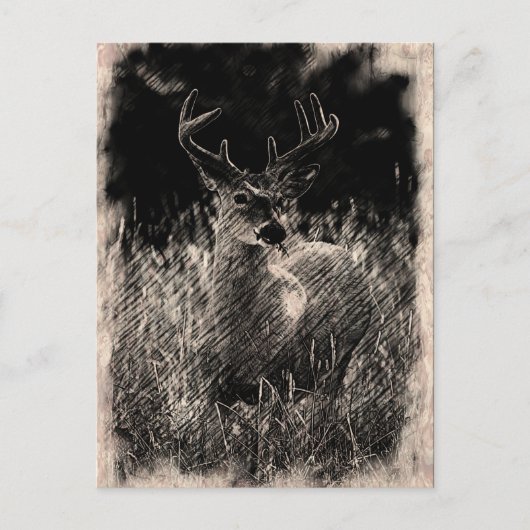 Big Meadows Buck Briefkaart (Voorkant)