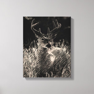 Big Meadows Buck Canvas Afdruk