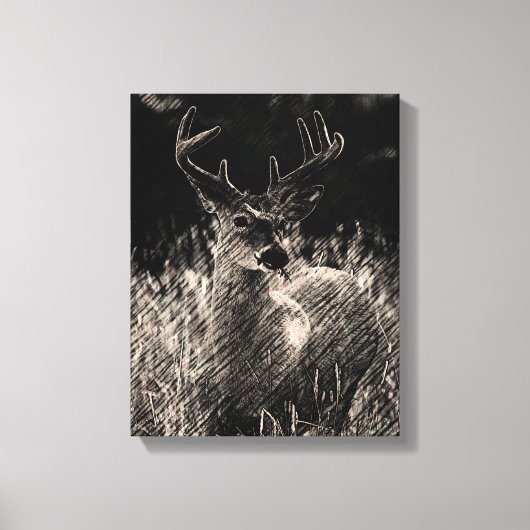 Big Meadows Buck Canvas Afdruk (Voorkant)