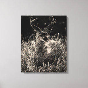 Big Meadows Buck Stretted Canvas Print
