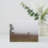 Big Meadows, Nationaal Park Shenandoah, Virginia Briefkaart (Staand voorkant)