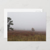 Big Meadows, Nationaal Park Shenandoah, Virginia Briefkaart (Voorkant / Achterkant)