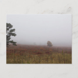 Big Meadows, Nationaal Park Shenandoah, Virginia Briefkaart