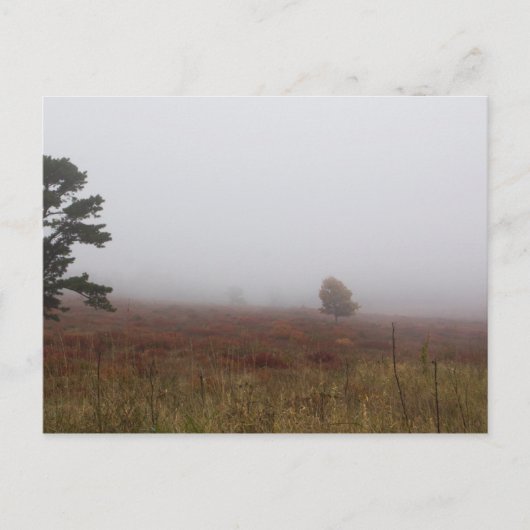 Big Meadows, Nationaal Park Shenandoah, Virginia Briefkaart (Voorkant)