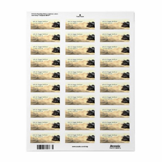 Big Monster-vrachtwagen op weg naar het avontuur M Etiket (Full Sheet)