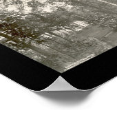 Big Moose, New York Foto 1911 Poster (Hoek)