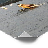 big mouth humpback poster (Hoek)