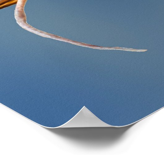 Big Mouth Vist Poster (Hoek)