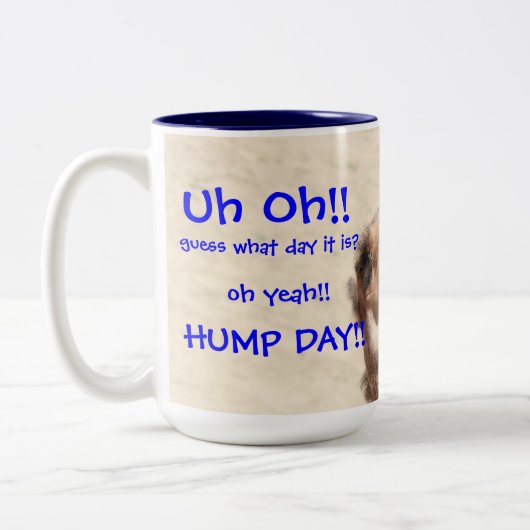 Big Mouthed Camel, Hump Day Blue Mok (Links)