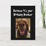 Big Nose Dog Funny Birthday Brother Love Dog Kaart<br><div class="desc">Broeder Omdat het je verjaardag is en ik neusje het daarom krijg je deze kaart. Happy Birthday schattig Fun Big Nose Dog Dierenplezier</div>