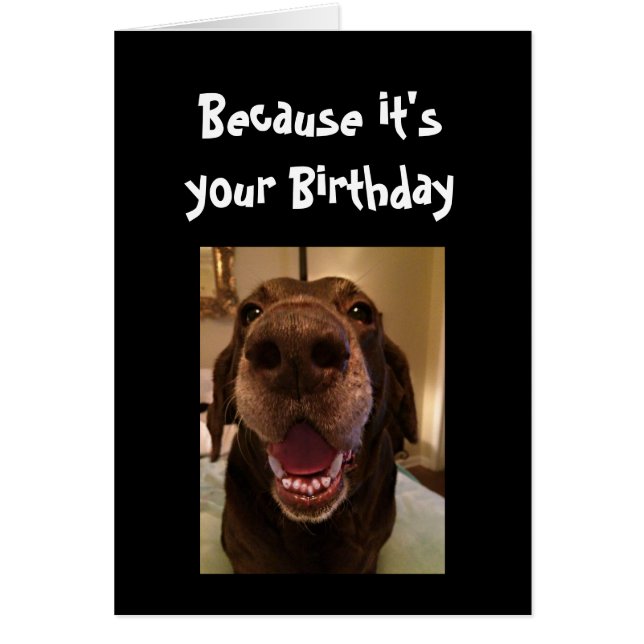Big Nose Dog Funny Birthday Love Dog (Voorkant)