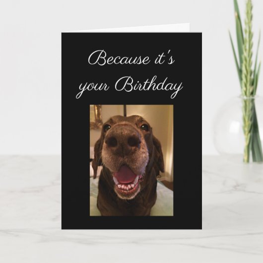 Big Nose Dog Funny Birthday Love Dog Kaart (Voorkant)
