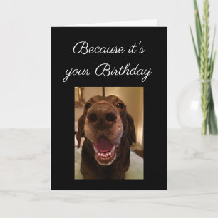 Big Nose Dog Funny Birthday Love Dog Kaart