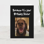 Big Nose Dog Funny Birthday Sister Love Dog Kaart<br><div class="desc">Zuster,  omdat het jouw geboortedag is en ik het zie,  is dat de reden waarom je deze kaart krijgt.   Fun Big Nose Dog Animal leuk</div>