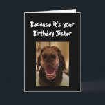 Big Nose Dog Funny Birthday Sister Love Dog Kaart<br><div class="desc">Zuster,  omdat het jouw geboortedag is en ik het zie,  is dat de reden waarom je deze kaart krijgt.   Fun Big Nose Dog Animal leuk</div>