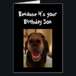 Big Nose Dog Funny Birthday Son Love Dog<br><div class="desc">Zoon omdat het jouw verjaardag is en ik neusje het daarom krijg je deze kaart. Happy Birthday schattig Fun Big Nose Dog Dierenplezier</div>