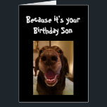 Big Nose Dog Funny Birthday Son Love Dog<br><div class="desc">Zoon omdat het jouw verjaardag is en ik neusje het daarom krijg je deze kaart. Happy Birthday schattig Fun Big Nose Dog Dierenplezier</div>