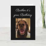Big Nose Dog Funny Brother Birthday Love Dog Kaart<br><div class="desc">Want het is jouw Birthday Brother en ik neusen hoeveel je ze haat...  ik neusje dat je wat liefde nodig hebt. Verzendende liefde op je verjaardag</div>
