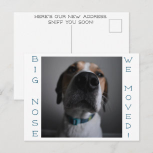 Big Nosed Dog verandering van adres Briefkaart